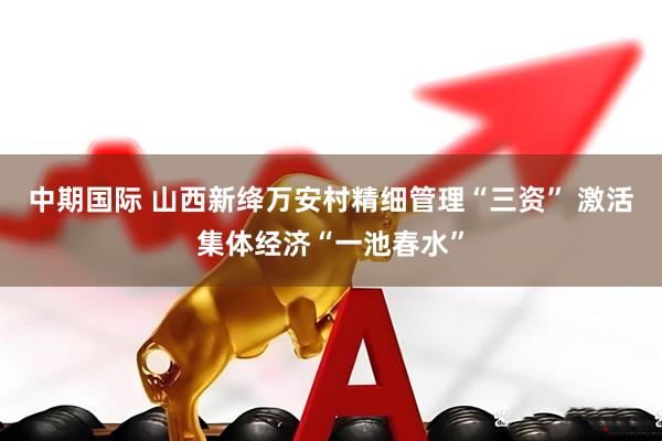 中期国际 山西新绛万安村精细管理“三资” 激活集体经济“一池春水”