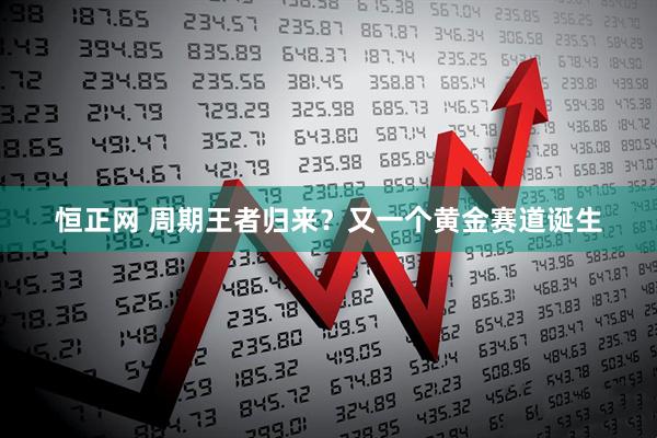 恒正网 周期王者归来？又一个黄金赛道诞生