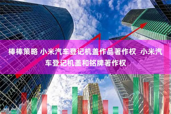棒棒策略 小米汽车登记机盖作品著作权  小米汽车登记机盖和铭牌著作权