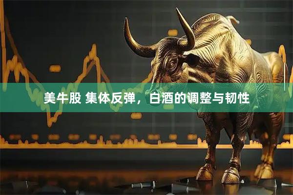 美牛股 集体反弹，白酒的调整与韧性