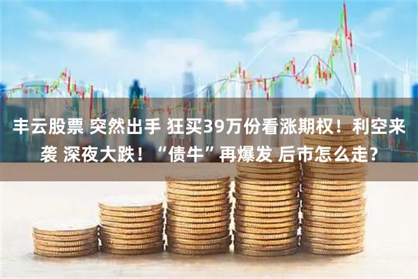 丰云股票 突然出手 狂买39万份看涨期权！利空来袭 深夜大跌！“债牛”再爆发 后市怎么走？